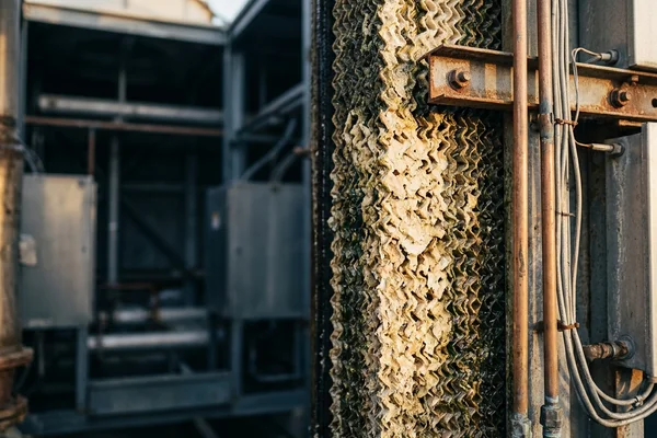Biofouled cooling tower fill